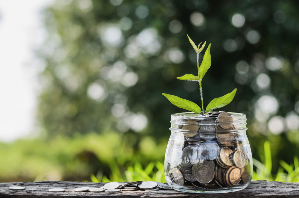 A green plant growing out of a jar of change